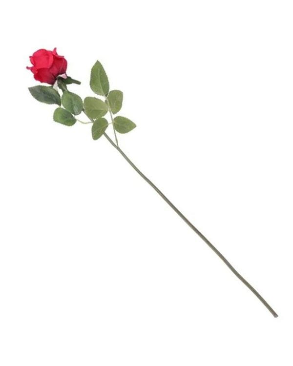 Long Stem Rose - 55cm