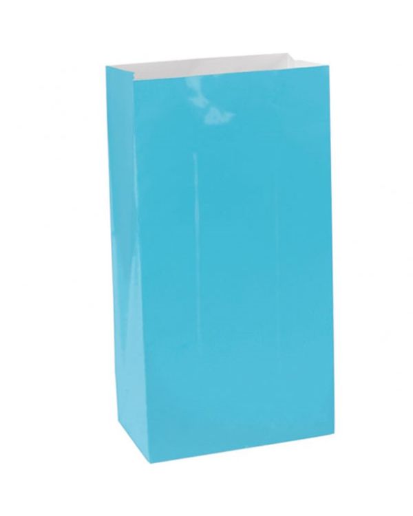 Turquoise Paper Bags - 24cm (12pk)