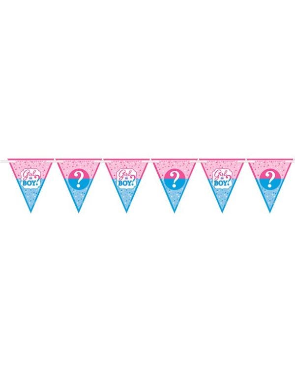 Gender Reveal Paper Flag Banner - 4.5m