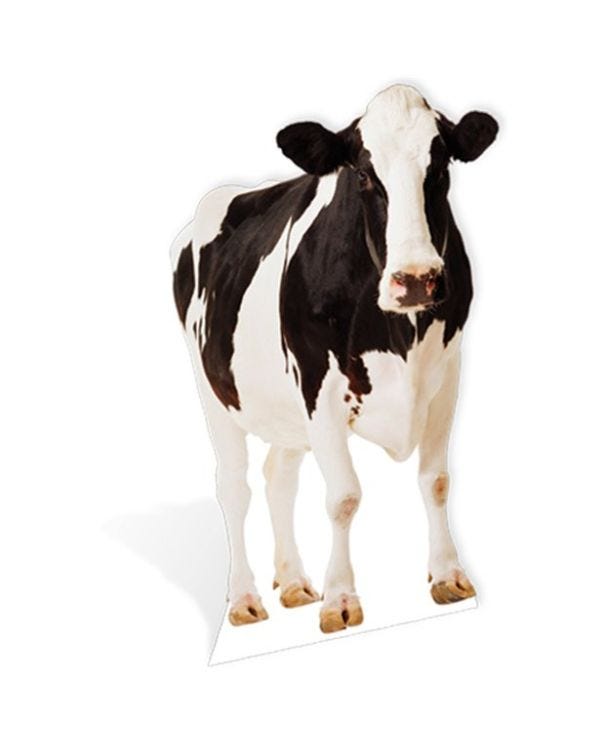 Life Size Cow Cardboard Cutout - 160cm x 93cm